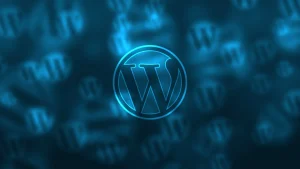 El SEO es más que un plugin en tu WordPress